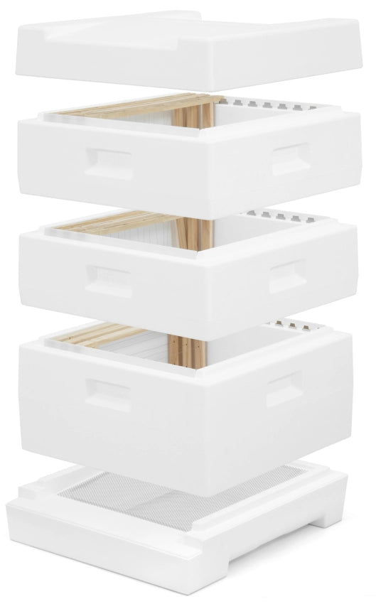 Segeberger Simplex complete bijenkast met platte bodem en deksel