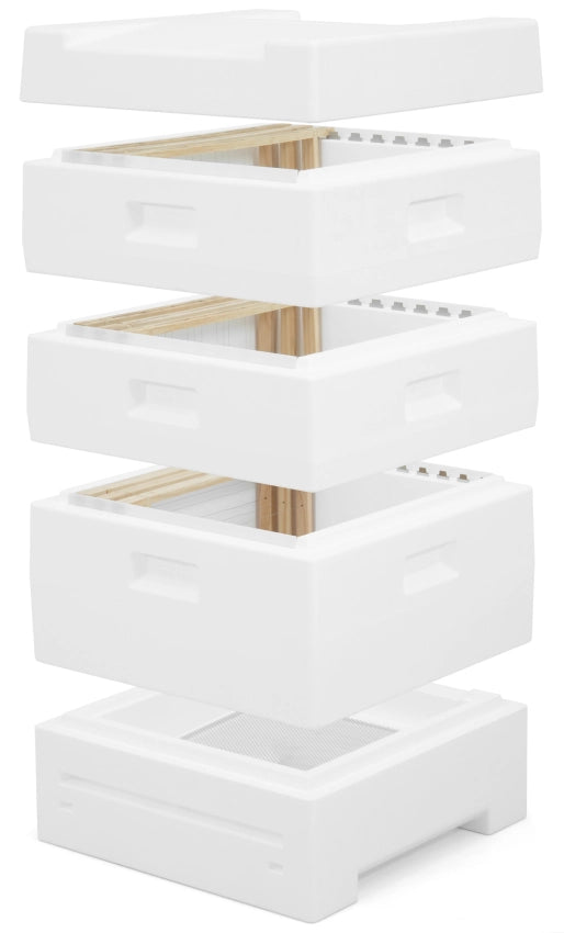 Complete Segeberger Simplex kast met hoogbodem